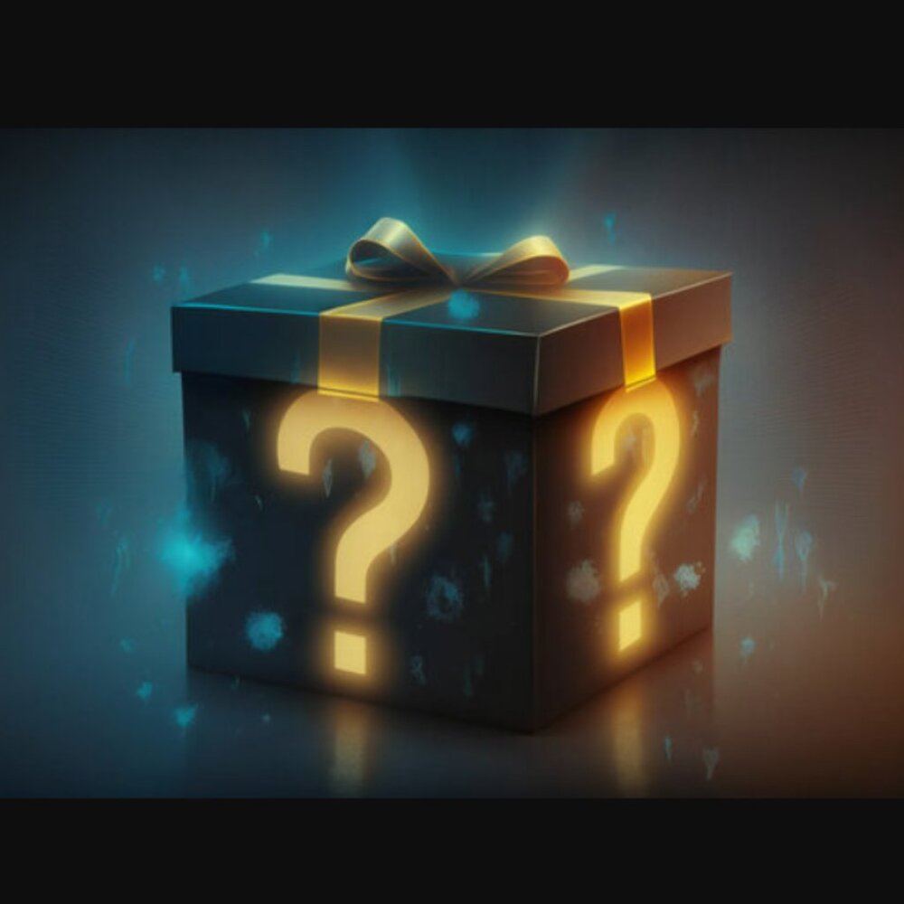 MYSTERY BOX OF 10 GENERAL MERCHANDISE ITEMS‎ - RETAIL VALUE AT LEAST $200!